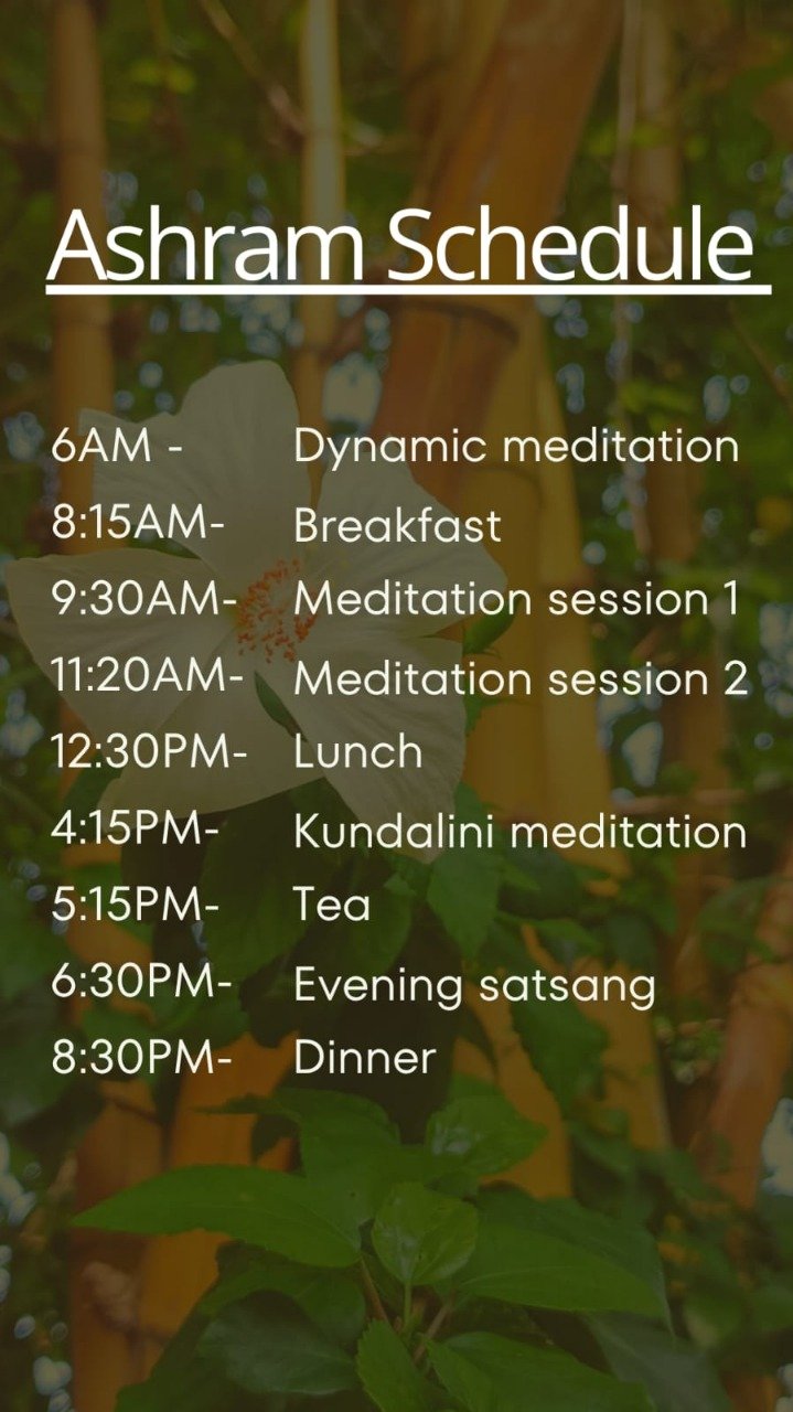 Ashram Schedule Poster